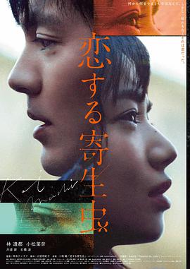 霓虹借贷